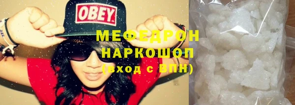 хмурый Аркадак