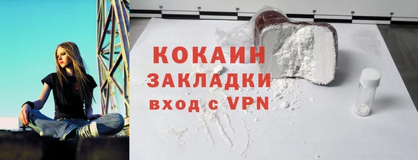 хмурый Аркадак