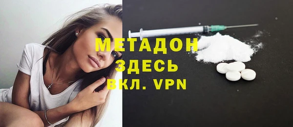 хмурый Аркадак