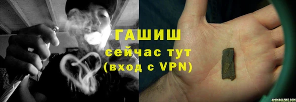 хмурый Аркадак