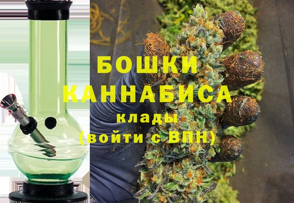 хмурый Аркадак