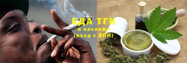 хмурый Аркадак