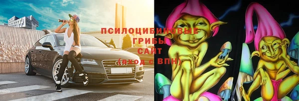 хмурый Аркадак