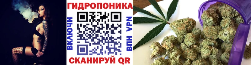 цена наркотик  Фролово  Бошки Шишки марихуана 